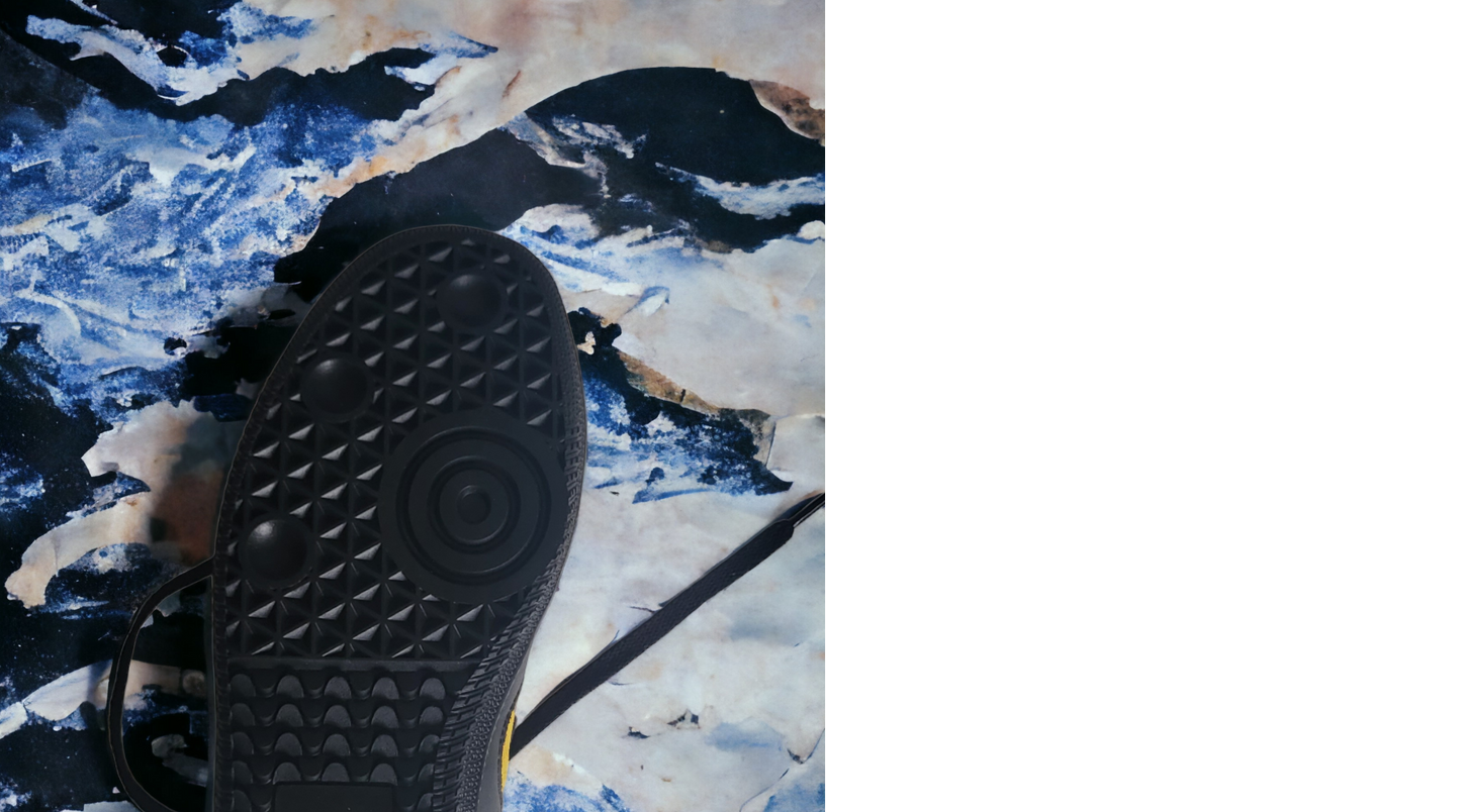 Sneaker Life - Kung Fu